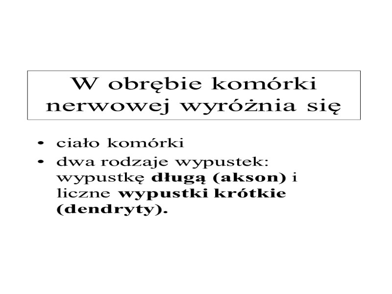 W obrębie komórki nerwowej wyróżnia się  ciało komórki dwa rodzaje wypustek: wypustkę długą